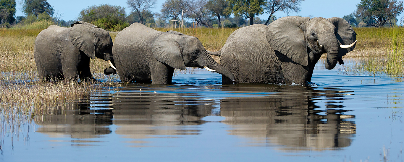 Wild + Wonderful Southern Africa: Botswana, Zimbabwe + Victoria Falls