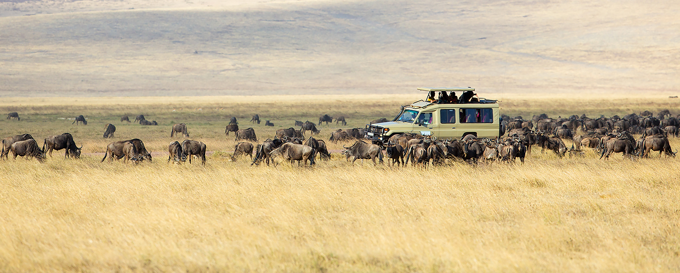 Spectacular Tanzania + the Serengeti