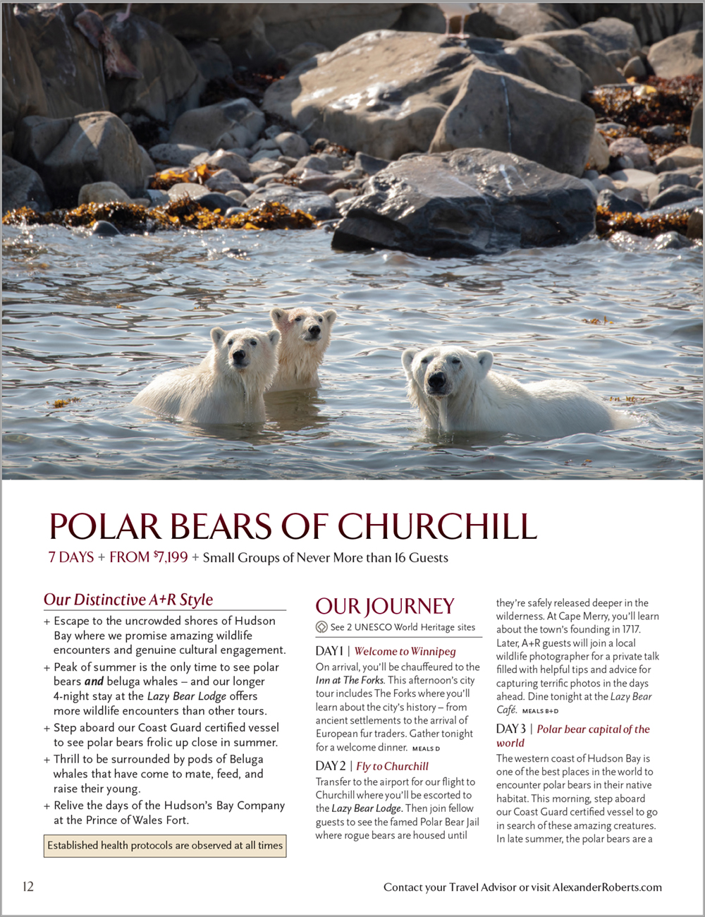 Churchill Polar Bear Tours | Alexander + Roberts