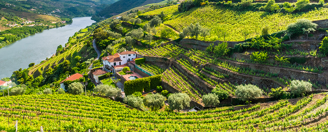 Porto + Lisbon With Douro Valley